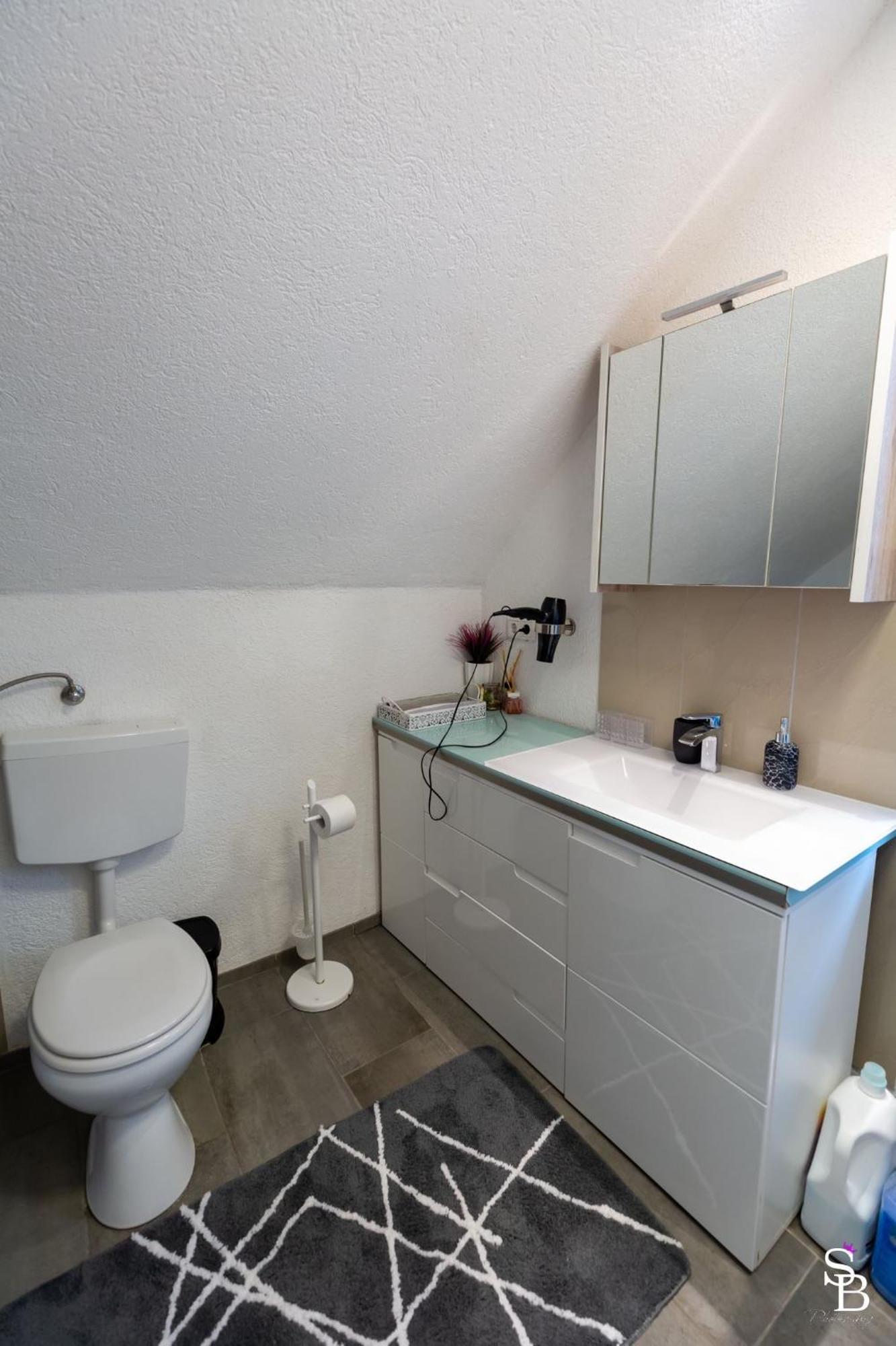 Hochrhein Ferienwohnung Albbruck Exterior foto
